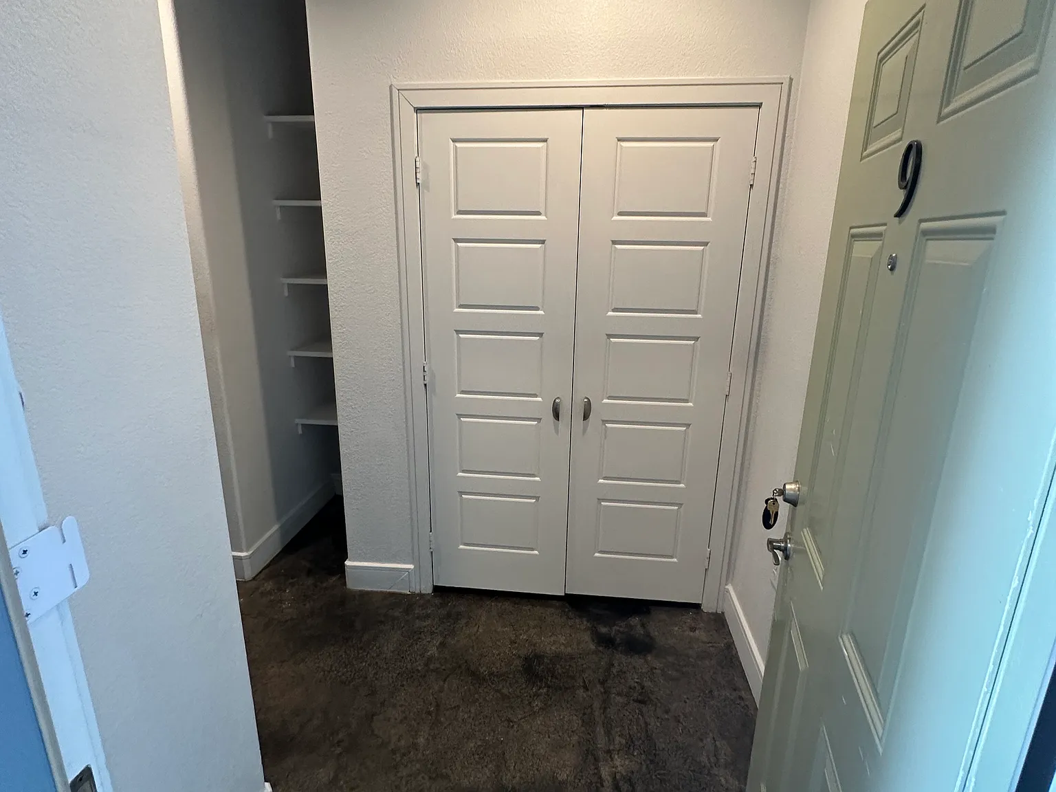 1 bed, 550 sqft, $1,045 — Photo 2