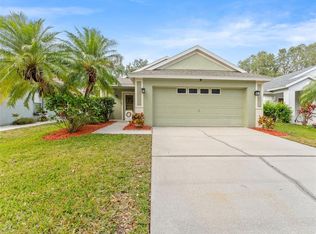 5041 Prairie View Way, Wesley Chapel, FL 33545