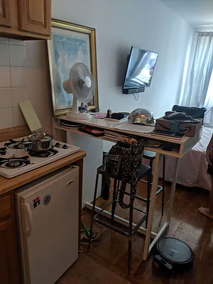 Rented by Loisaida Realty | media 8