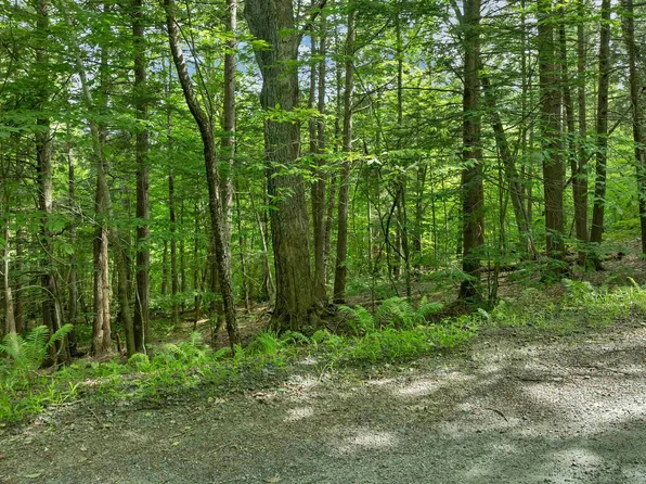 0 Safford Road, Hartford, VT 05059