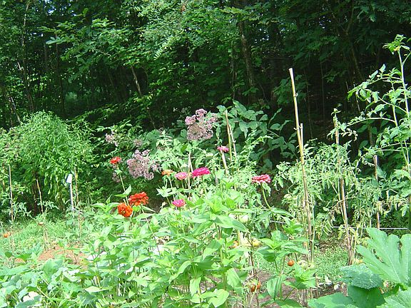 5th image of 1846 Davis Creek Road