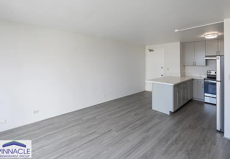 785 Kinau St #302 — Photo 3