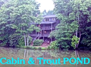 161 Jaybird Ln, Seven Devils, NC 28604