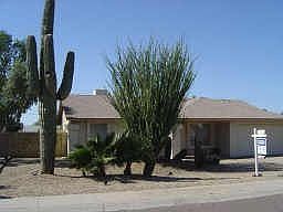 Easy maintenance front landscaping