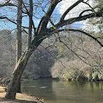 181 Poolside Ct #181, Ellijay, GA, 30540
