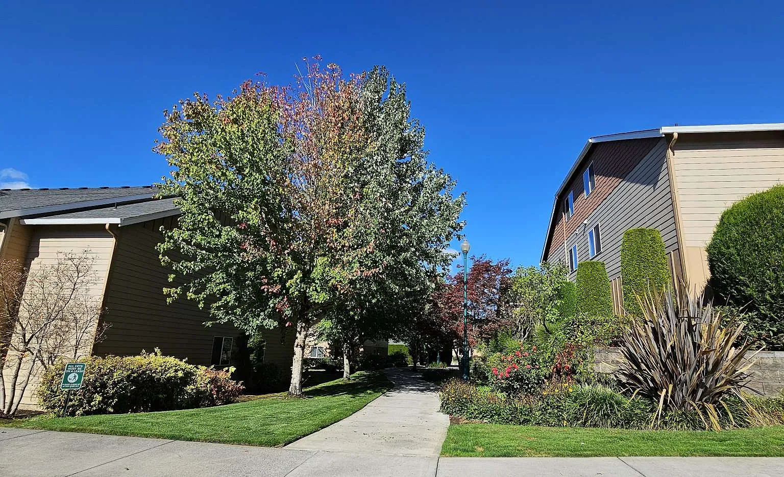 Mission Hills Apartments — Photo 4