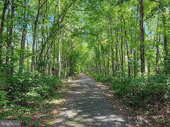 Mount Vernon Hwy Trail