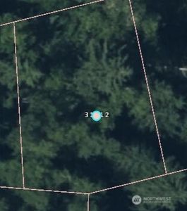 31512 Mt Tahoma Canyon Road E, Ashford, WA, 98304