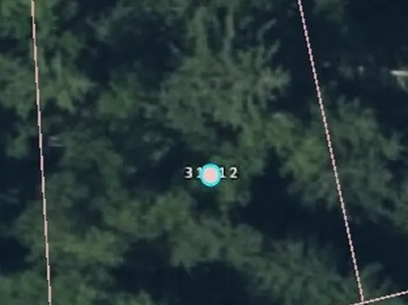 31512 Mt Tahoma Canyon Road E, Ashford, WA 98304