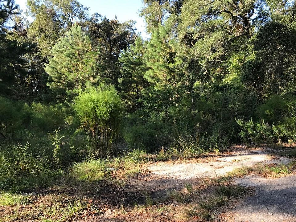 2nd image of 3353 River Rd