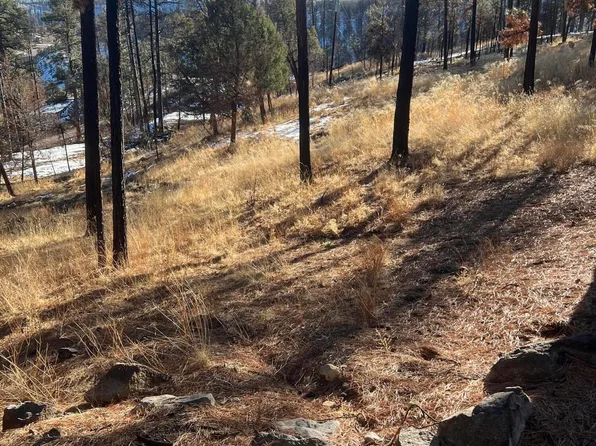 LOT 11 Brentwood Dr, Alto, NM 88312