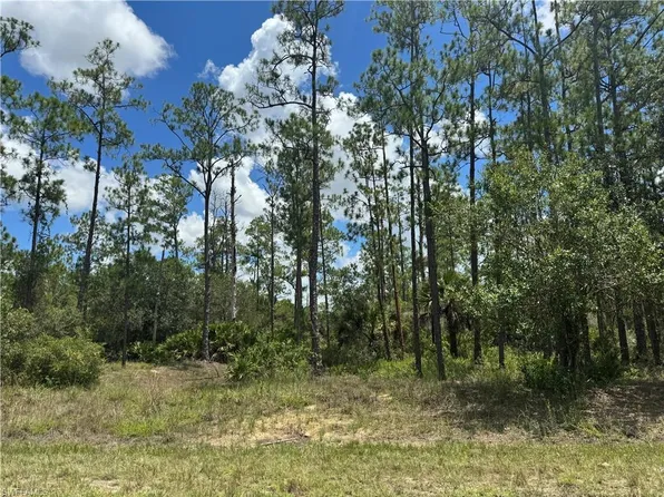 1410 Glenn AVE, LEHIGH ACRES, FL 33972