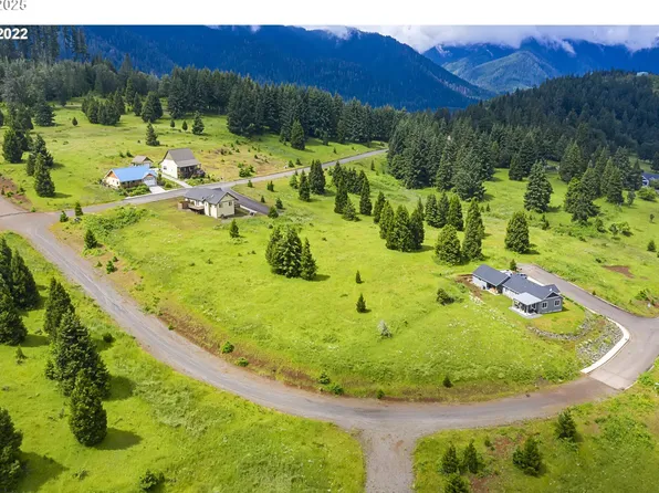 Bugle Loop #Tl-1306, Oakridge, OR 97463