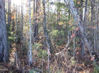 Main Or Walterboro 63 Hwy N, Varnville, SC 29944