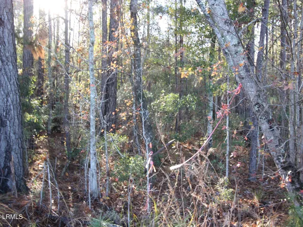 Main Or Walterboro 63 Hwy N, Varnville, SC 29944