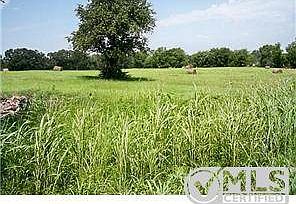 Beautiful pastures with lake