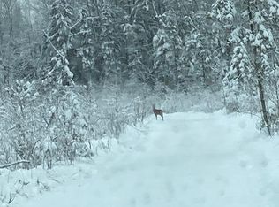 Muskrat Rd, Rogers City, MI 49779