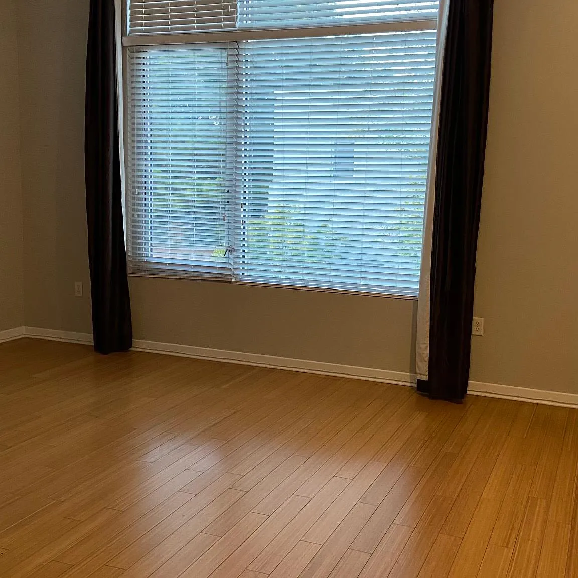 2263 Young Ave — Photo 4