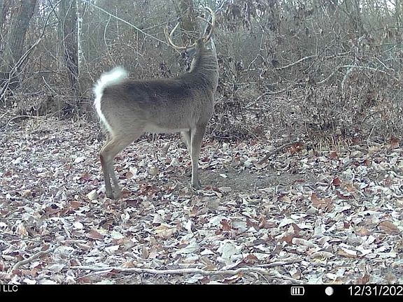 2nd image of 3 Evans Rd