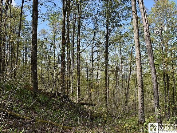 2nd image of Farrington Hollow Rd Lot 24