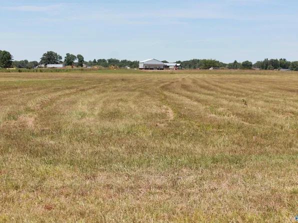 6 Highway 55 W, Falkville, AL 35622