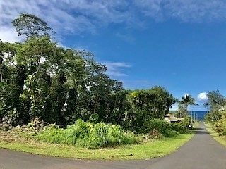 1st image of Papai St Lot 1866