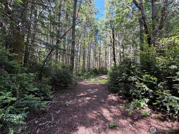 178 Geoduck Drive, Quilcene, WA 98376