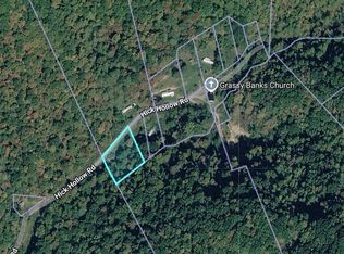 216 Hick Hollow Rd, Josephine, WV 25857