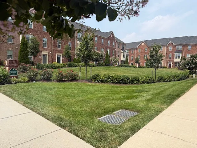 Courtyard view from front of home