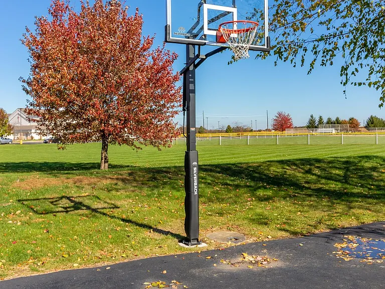 Basketball Area