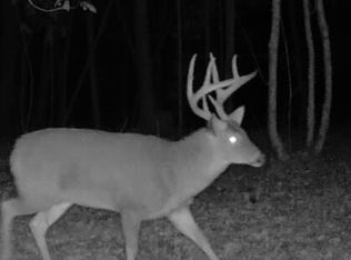 0 Old Highway 51ne, Brookhaven, MS 39601