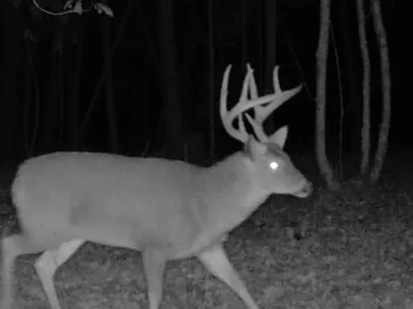 0 Old Highway 51ne, Brookhaven, MS 39601