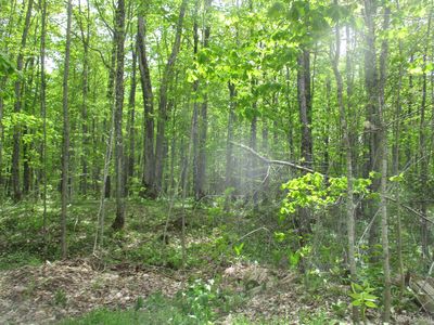 Tba Firesteel Rd, Greenland, MI, 49929