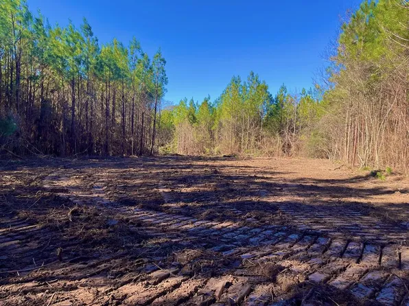 3046 Reeves Rd SE, Ruth, MS 39662