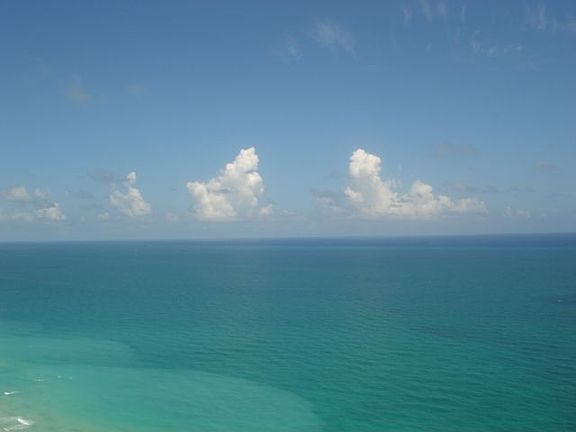 2nd image of 6365 Collins Ave APT 4402