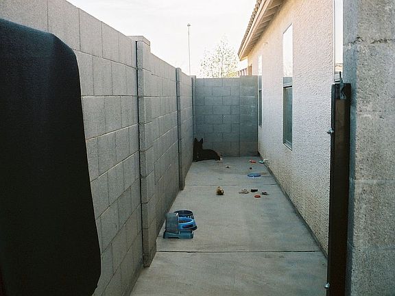 Dog Run