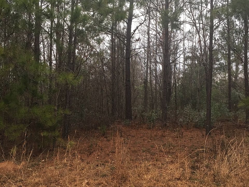 2nd image of 371 Creek Ridge Loop