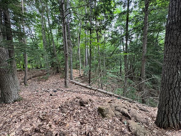 5th image of Lot # 18-1 Sanborn Street