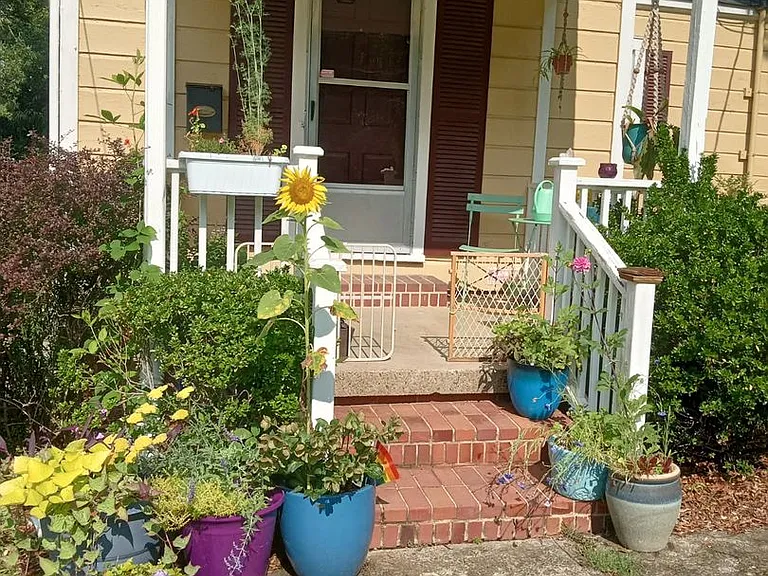 Adorable 1 Bedroom Duplex in Old West Durham - Walk to 9th St! — Photo 2