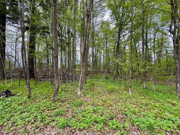 LOT 36 Fairway Dr, Pickerel, WI 54465