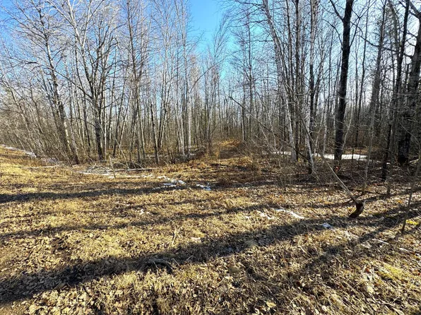 33 560th St, Palisade, MN 56469