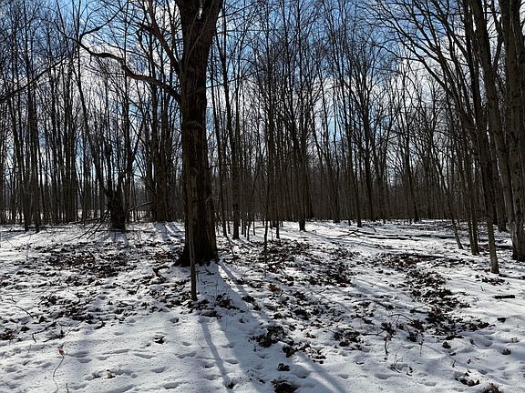 5th image of Westover Rd