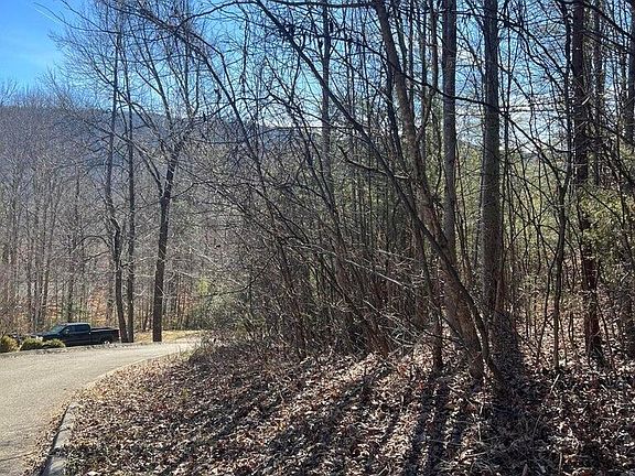 3rd image of 1012 Country Mountain Rd