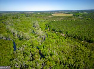 0 Metts Overstreet Rd, Bristol, GA 31518