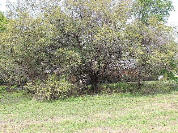 4th image of 852 County Road 303