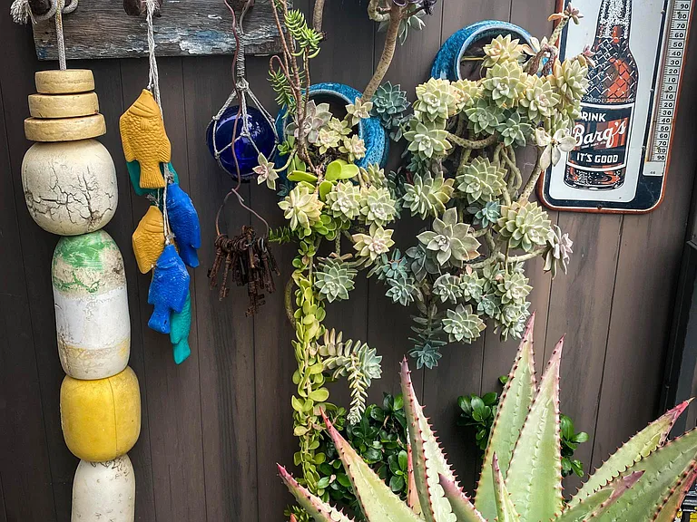 More garden