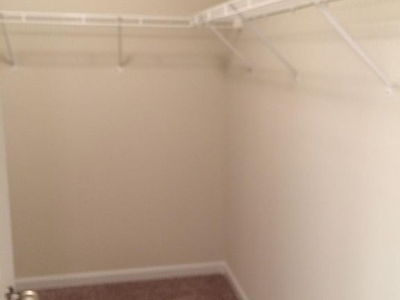 Master B Walk-in Close out