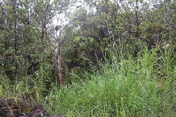 1st image of Lot 6786