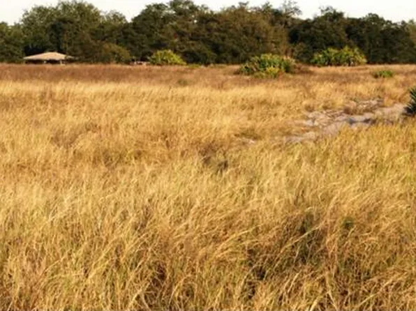 2353 Old Grove Trl, Frostproof, FL 33843