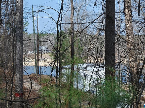 2nd image of County Road 8023